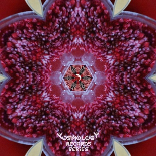 Kosmology Records Series #23 | SeaGull | DarkForest