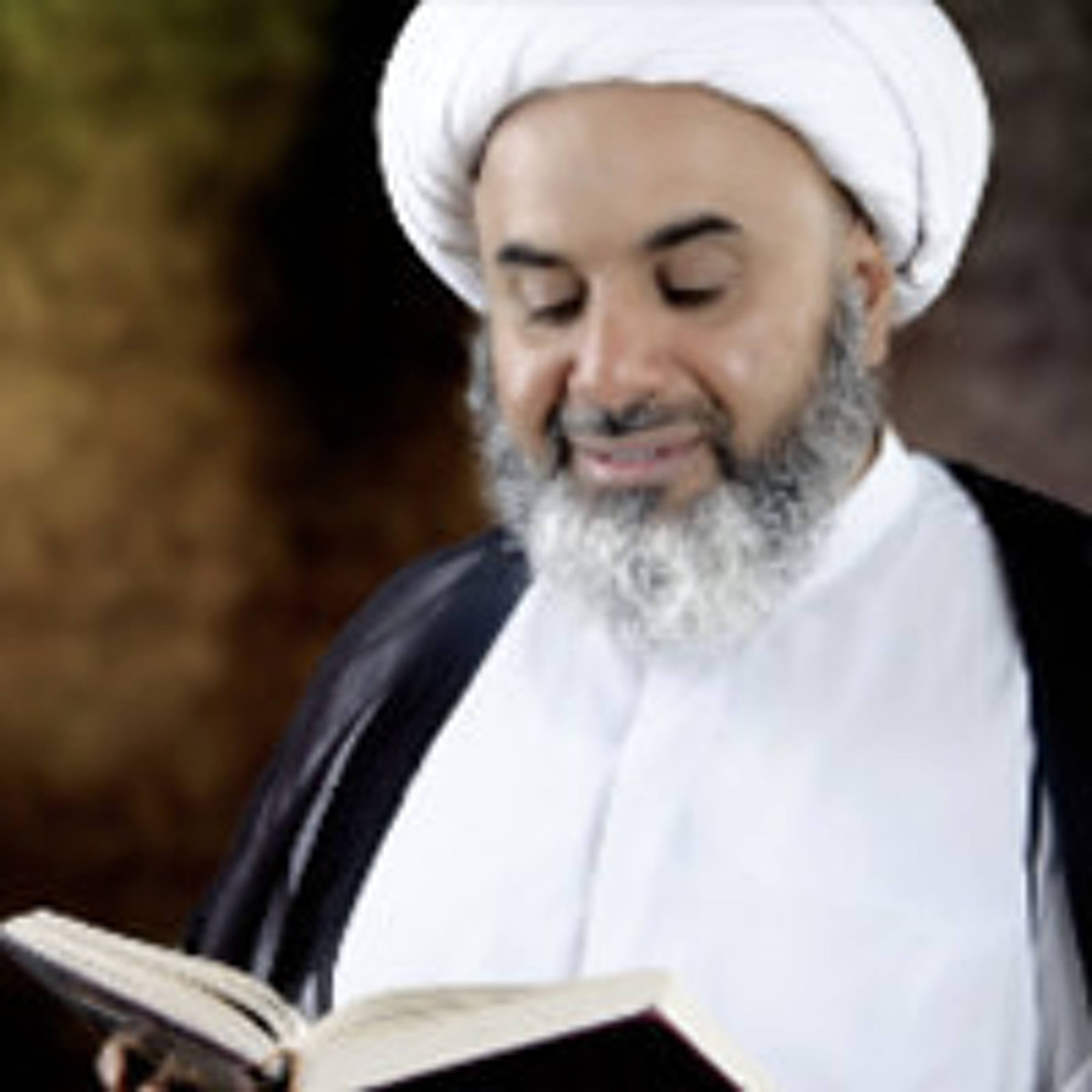 تفسير سورة البقرة .. قوله تعالى (وَمِنَ ٱلنَّاسِ مَن يَقُولُ ءَامَنَّا بِٱللَّهِ وَبِٱلۡيَوۡمِ ٱلۡأٓخِرِ وَمَا هُم بِمُؤۡمِنِينَ) اية (8) القسم الاول |  لسماحة العلامة الشيخ حسين العايش episode artwork