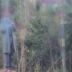 i fell asleep during the movie