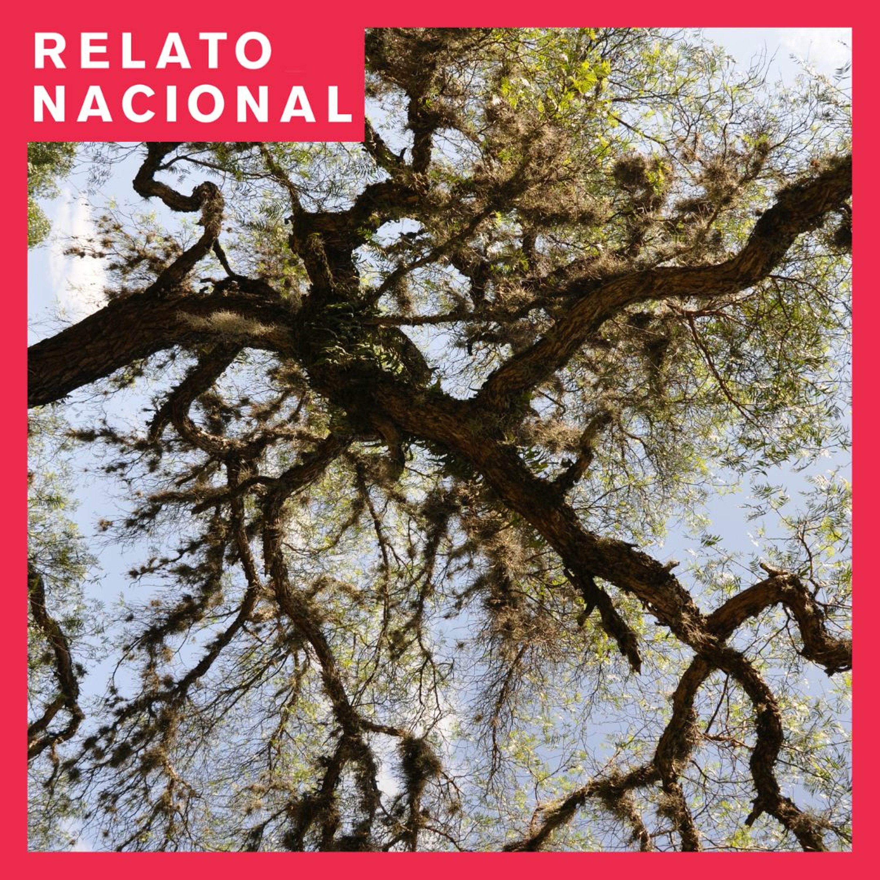 Relato Nacional