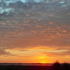 GONE SOUTH