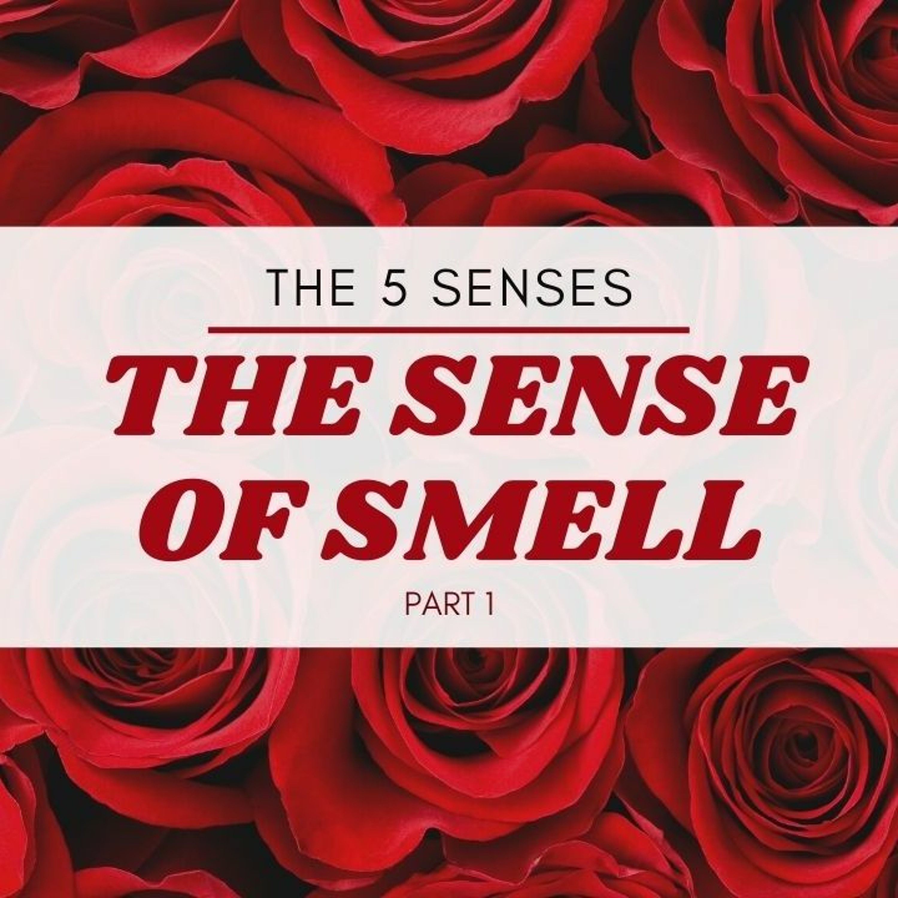 Smell - The 5 Senses (PT. 9) // Pas Subash Cherian episode artwork