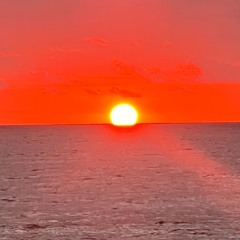 UW Good Morning Cockerel ( Darren Price Mix )