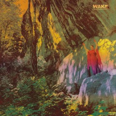 Wake "Swallow the Light"