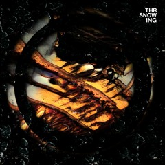 Throwing Snow - Brujita - 'Taken from the album Dragons'