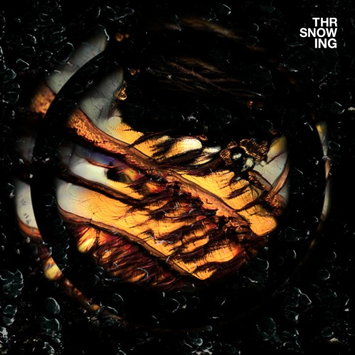 Throwing Snow - Halos - 'Taken from the album Dragons'