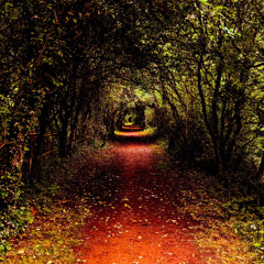 Running Farther