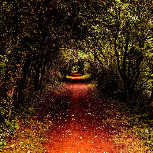 Running Farther