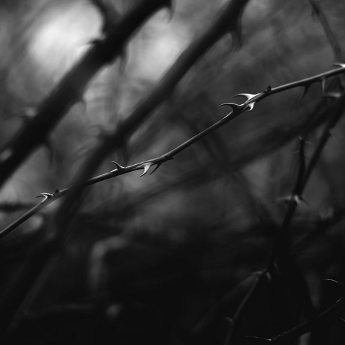 Oh Lawd | @LouisPierreProd