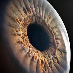 ROLL (PROD BY @GXTHWXXD & ME)