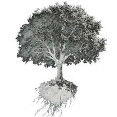 Flying Trees