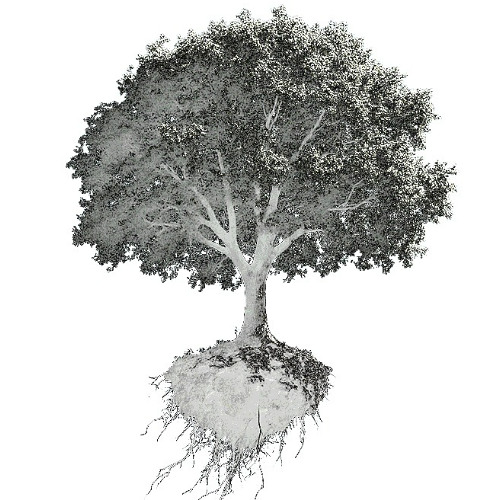 Flying Trees