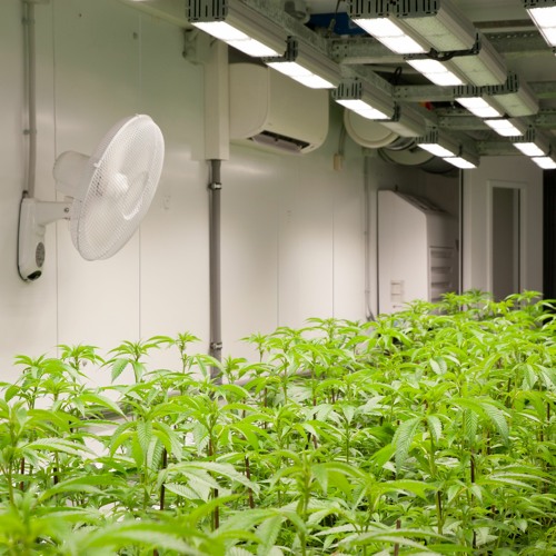 Stream Duramax PVC Panels The Ultimate Grow Room Panels by Duramax PVC