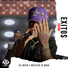 Exitos (En Vivo)