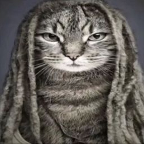 dee - chapei