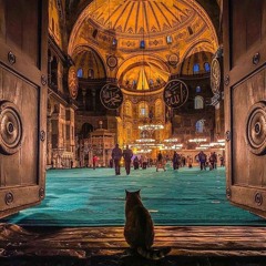 ❤️تلاوة سورة المجادلة|علاء حامد