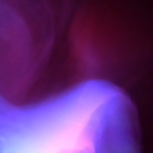 Luise Syn X Nordlicht