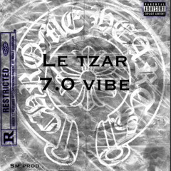 7.0 Vibe