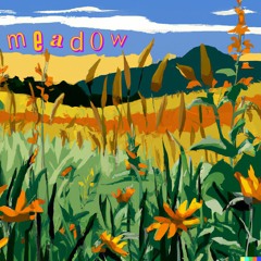Meadow (BEAT TAPE)
