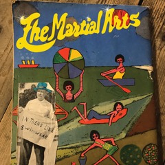 The Martial Arts - In There Like Swimwear 09. Not Coming Down (GBE4S2402109)