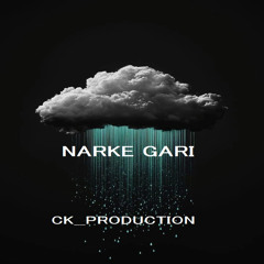 Narke Gari