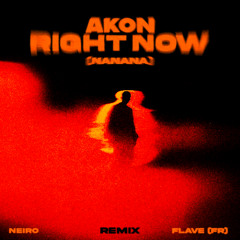 FREE DOWNLOAD: Akon - Right Now (NaNaNa) (NEIRO & FLAVE (FR) Remix)