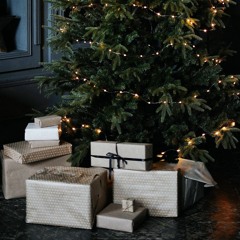 Dáng Xinh By WB ( Daydream x Last Chrismas x More )