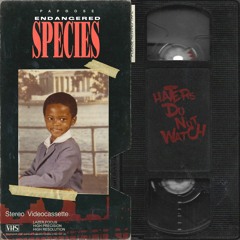 Papoose - Tribute