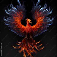 Phoenix On Fire
