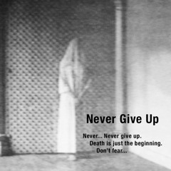 Fraunhofer Diffraction - Never Give Up