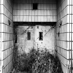 Treibhaus 01