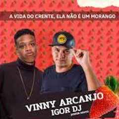 A VIDA DO CRENTE, ELA NÃO É UM MORANGO - FUNK GOSPEL - VINNY ARCANJO & IGOR DJs)