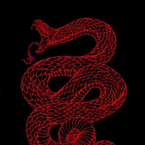 r o c k m y w o r l d