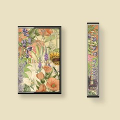 lilaclaza - blossom [Beattape & Cassette]