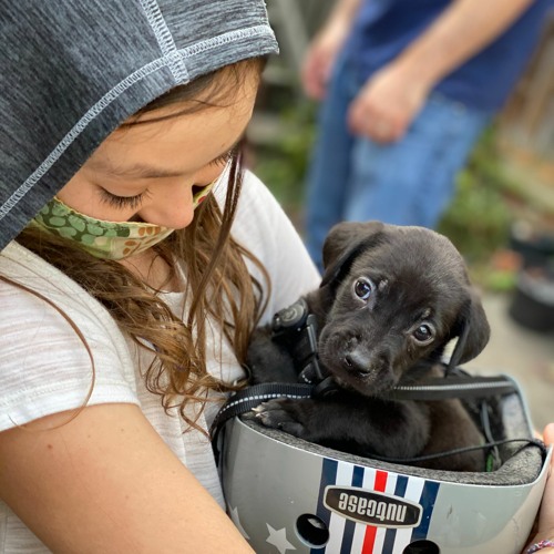 Stream Jim Havard Listen to Barney Circle playlist online for free on