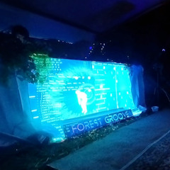Ep 269 - Nes - Live@ Forest Groove 3 - Techno - Starlight Thursdays Episode 269