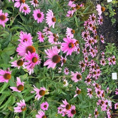 Exchange RADIO.1 @ OSLO