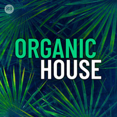 Organic House 2025 🏖️ Burning Man - Tulum - Ibiza - Mykonos