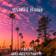 Tesumole Around Naira Marley X Phony Ppl (F.B.G. Edit)
