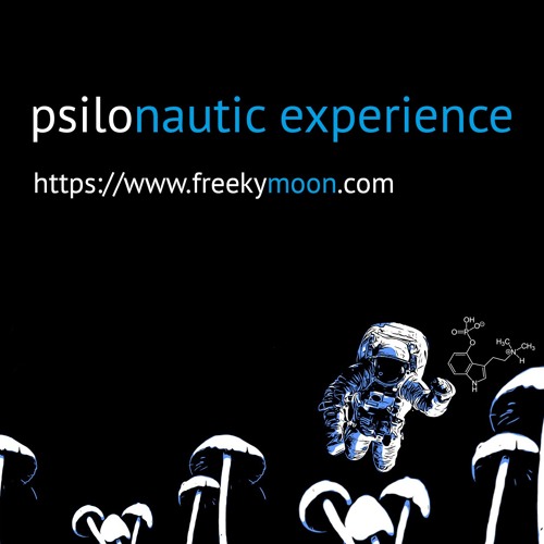 Cover: Synaptic Impact – Psilonautic Experience
