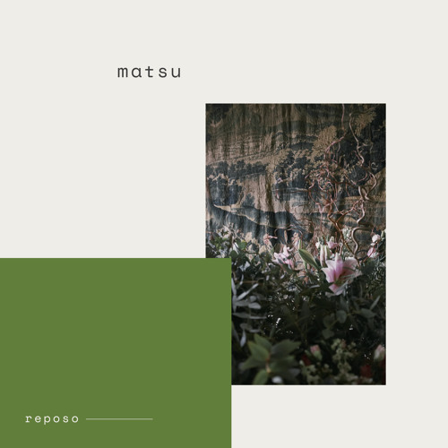 Matsu - Reposo