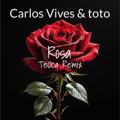 Carlos Vives & Toto - Rosa (TeOca Remix)