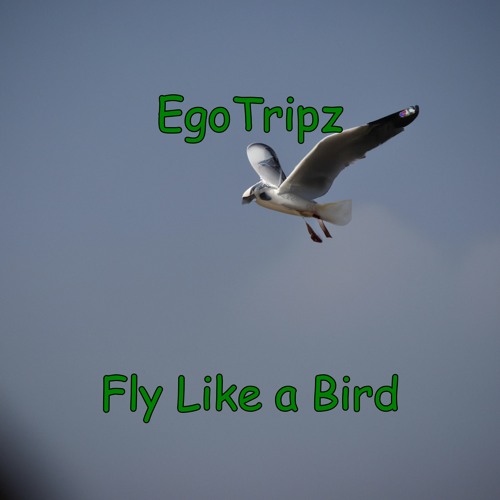 Fly Like a Bird
