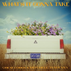 Cheat Codes, Mitchell Tenpenny - What's It Gonna Take (Acoustic)