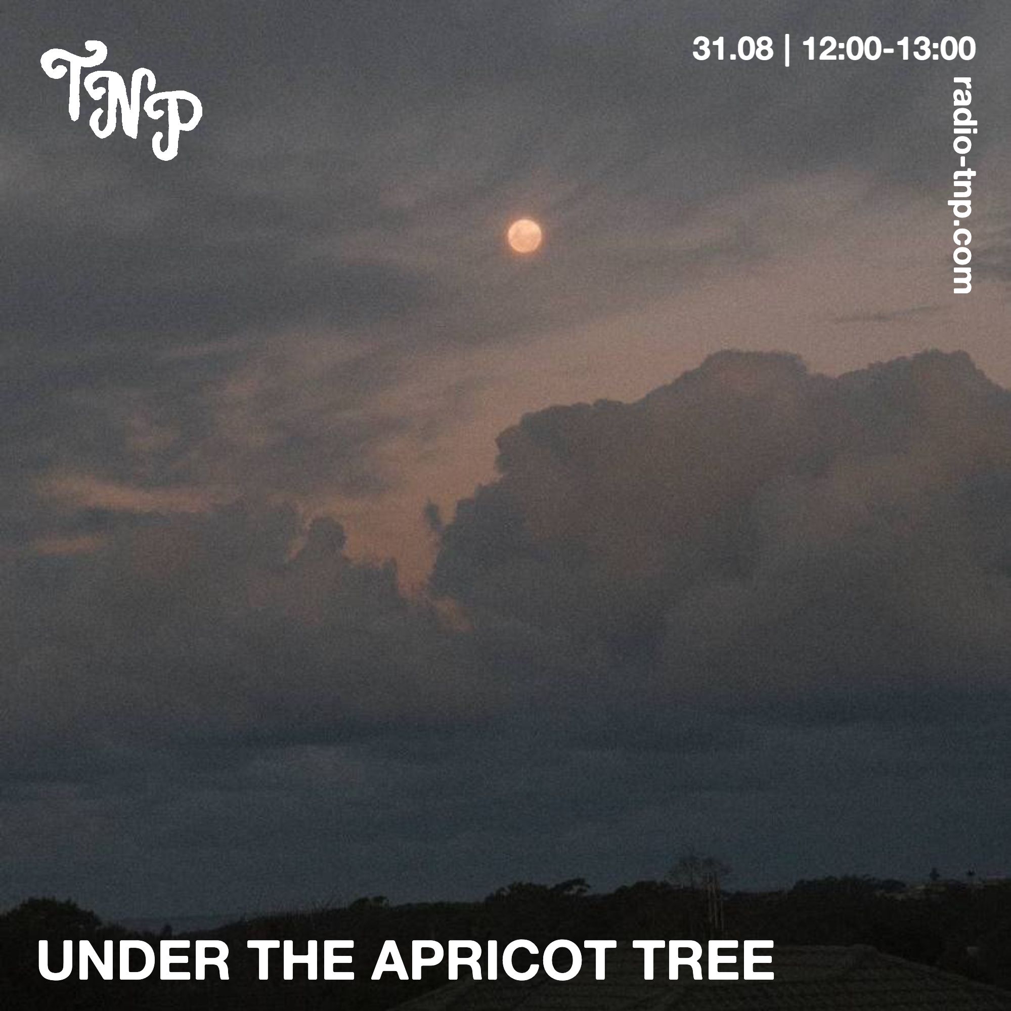 Under The Apricot Tree