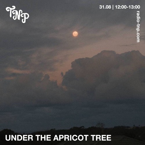 Under The Apricot Tree @ Radio TNP 31.08.2024