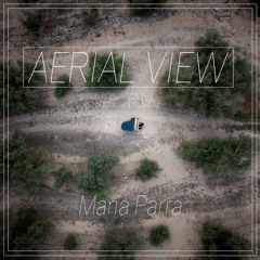 Aerial View (Suite Depth 1)