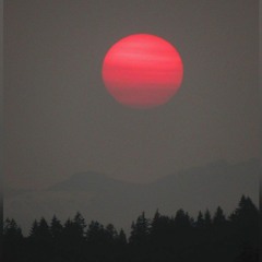 Smokey Skies