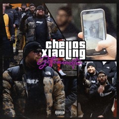 Gettominister chelios