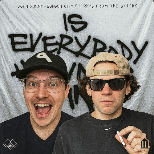 Is Everybody Having Fun? (WHYNOT & CHEVY edit)